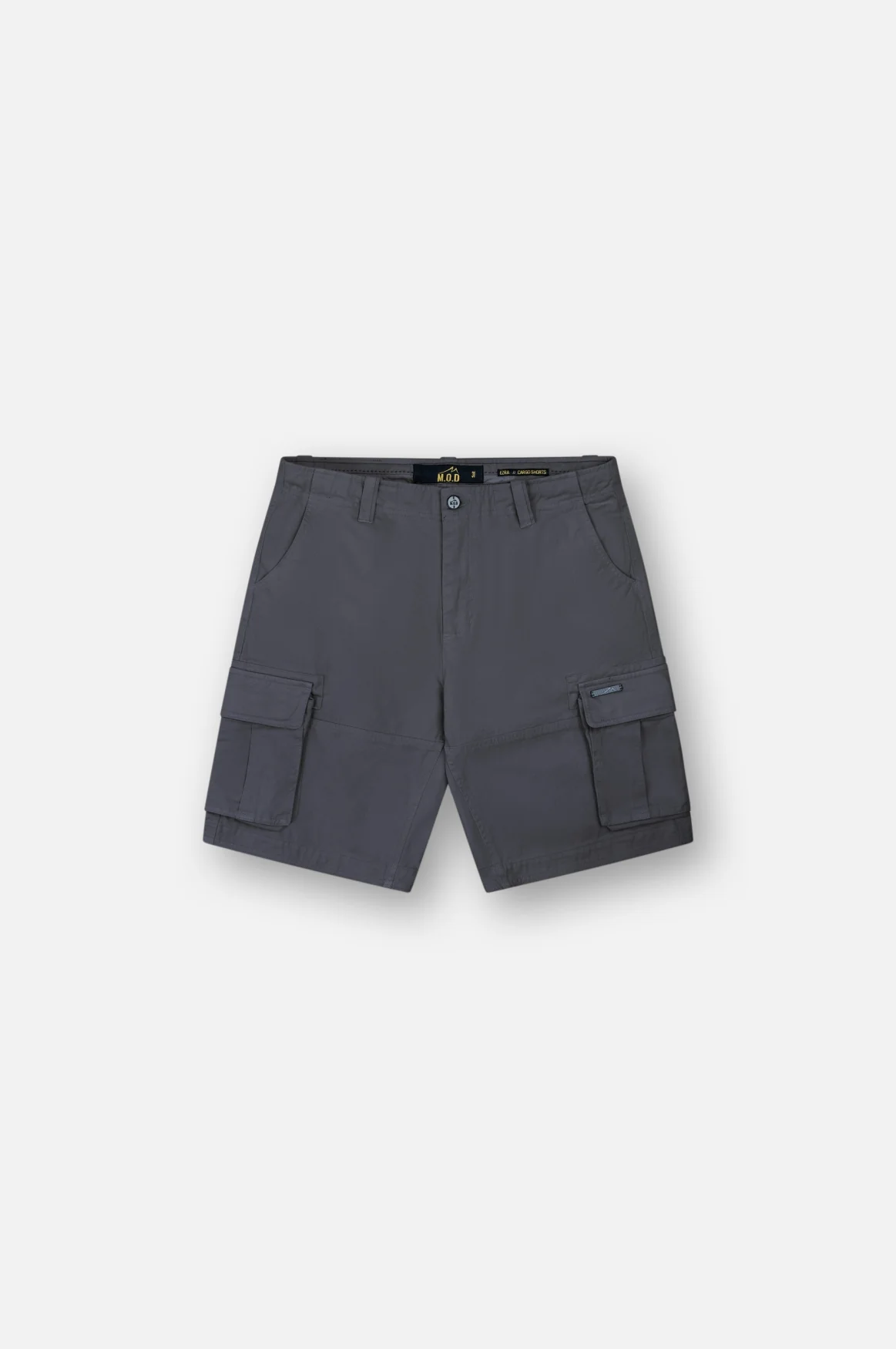Ezra Cargo Shorts | Anthra - Image 6