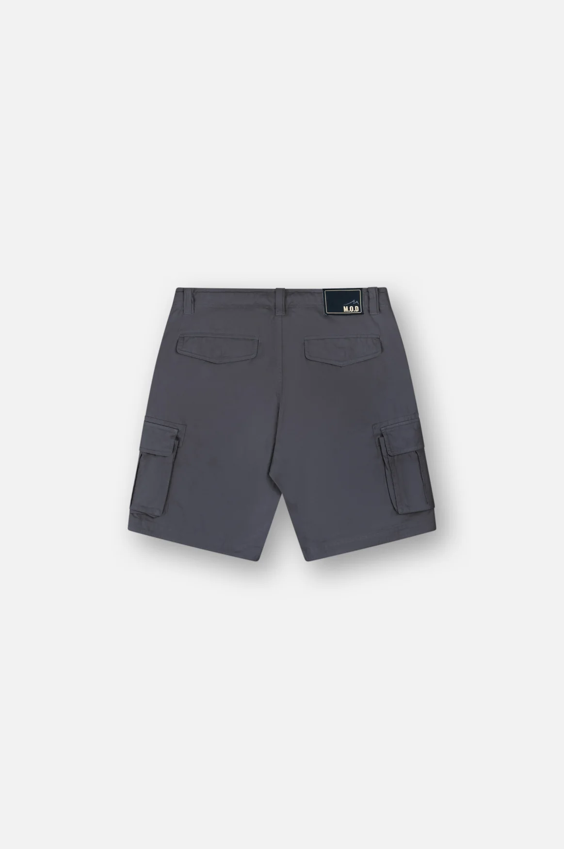 Ezra Cargo Shorts | Anthra - Image 7